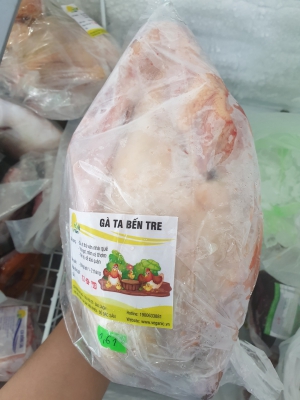 Gà Ta Bến Tre Thả Vườn - Gà Trống